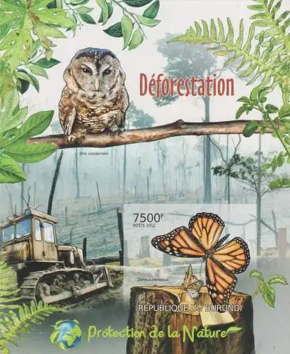 Protection of Nature - Deforestation