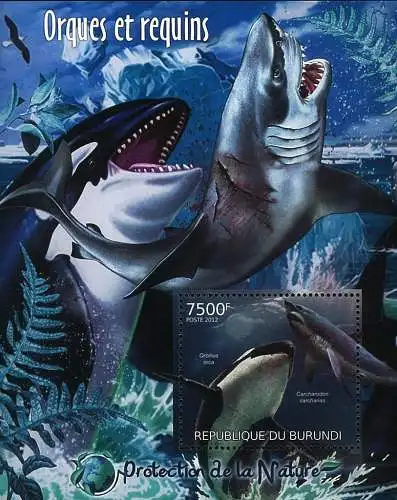 Protection of Nature - Orcas and Sharks