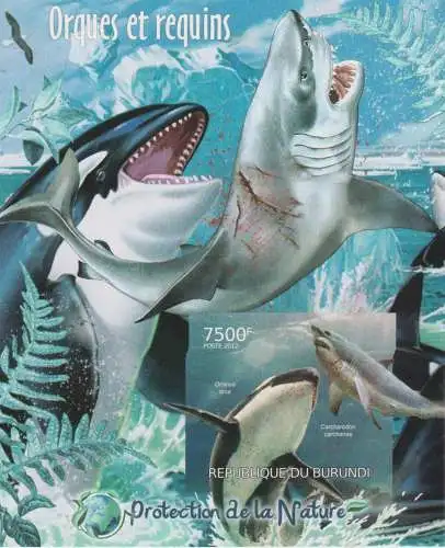 Protection of Nature - Orcas and Sharks