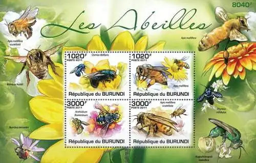 Insects - Bees