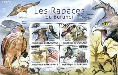 Birds - Raptors of Burundi