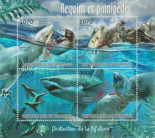 Protection of Nature - Sharks & Pinnipeds