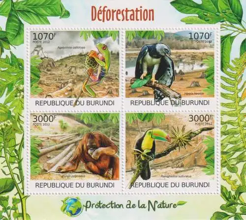 Protection of Nature - Deforestation