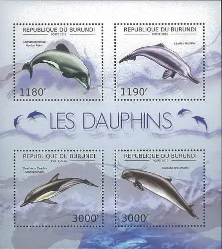 Fauna - Dolphins