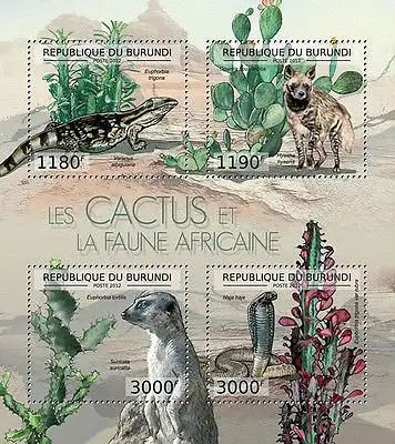 Cactus and African Wildlife