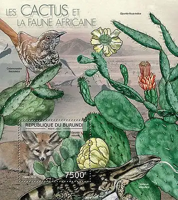 Cactus and African Wildlife