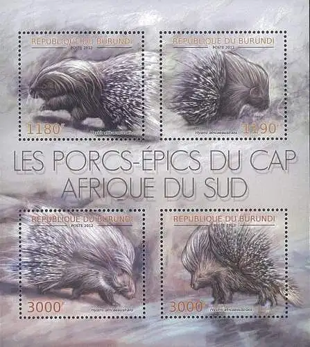 Porcupine of South Africa