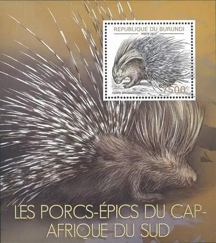 Porcupine of South Africa