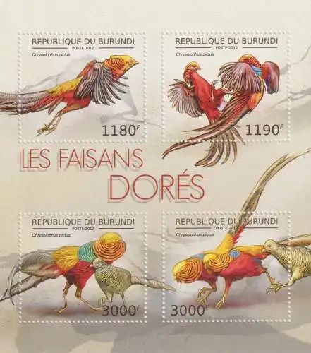 Fauna - Pheasants