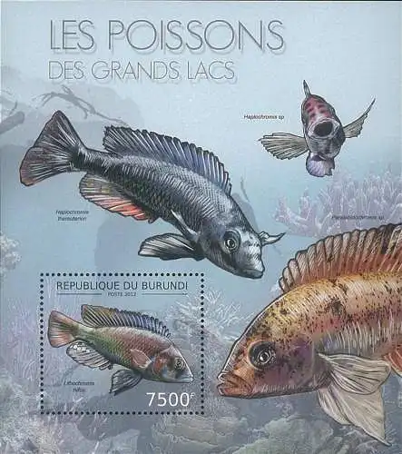 Fishes of the Great Lakes