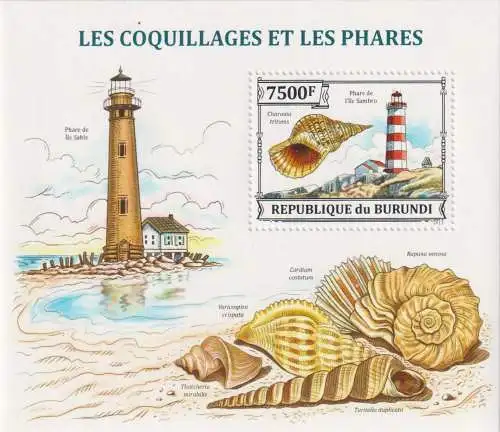 Shells and Lighthouses