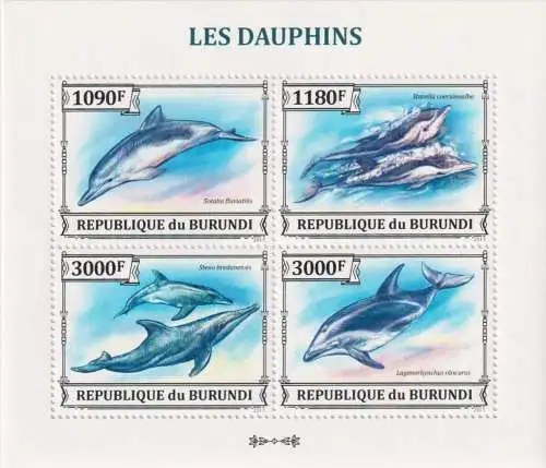 Marine Life - Dolphins