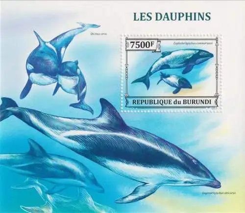 Marine Life - Dolphins