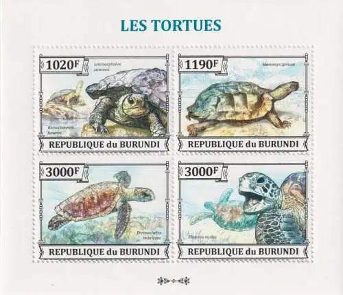 Turtles