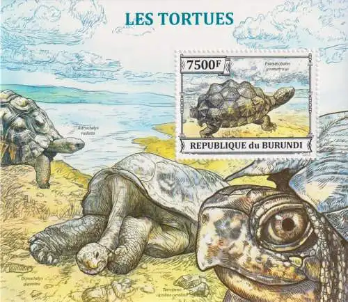 Turtles