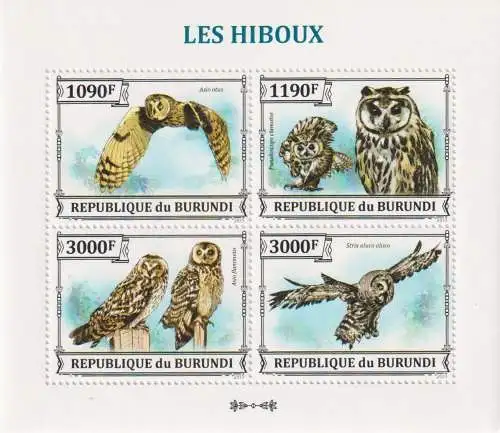 Birds - Owls