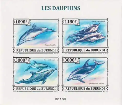 Marine Life - Dolphins