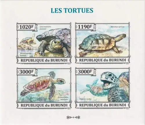 Turtles