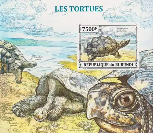 Turtles