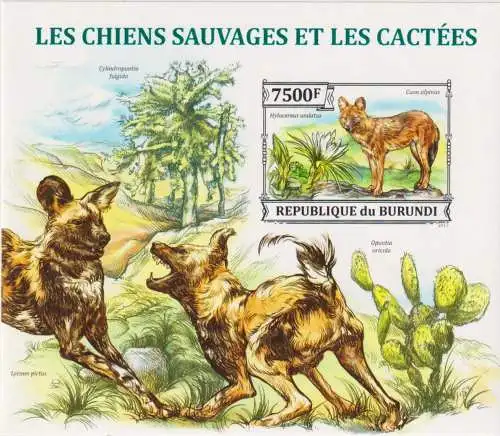 Wild Dogs and Cactuses