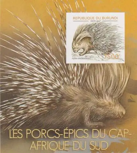 Porcupine of South Africa