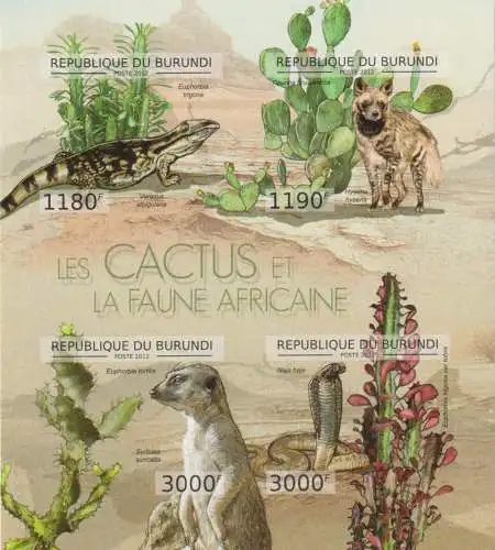 Cactus and African Wildlife