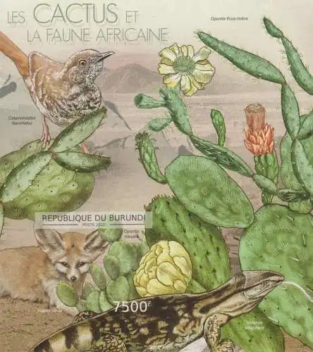 Cactus and African Wildlife