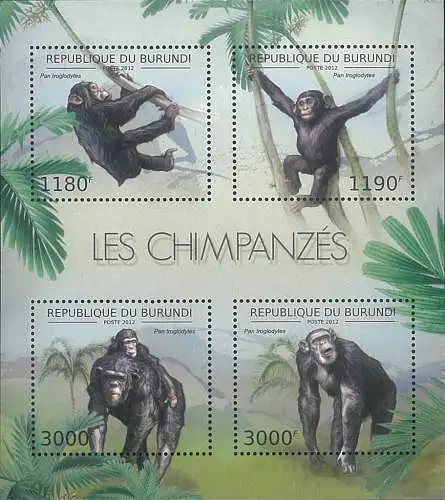 Fauna - The Chimpanzees