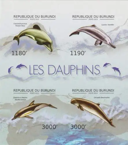 Fauna - Dolphins