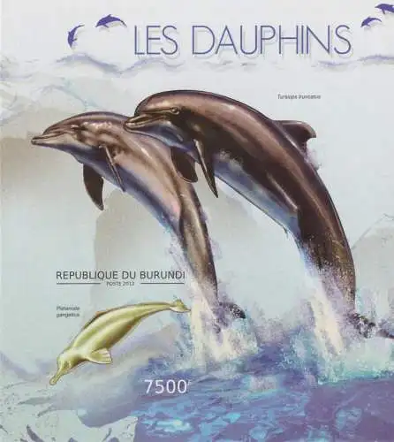 Fauna - Dolphins