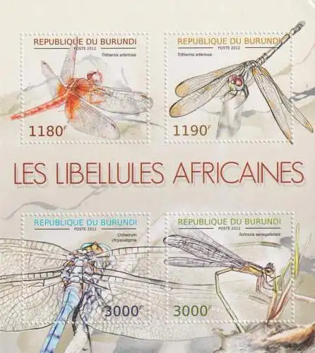 Fauna - Dragonflies of Africa