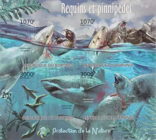 Protection of Nature - Sharks & Pinnipeds