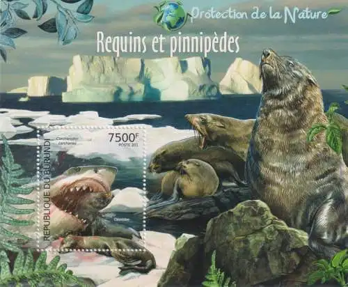 Protection of Nature - Sharks & Pinnipeds