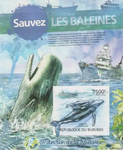 Protection of Nature - Save the Whales