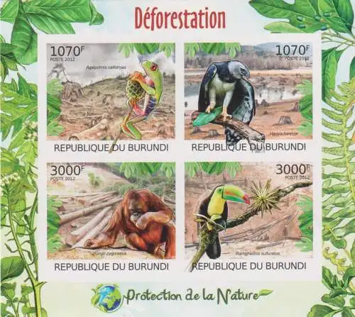 Protection of Nature - Deforestation