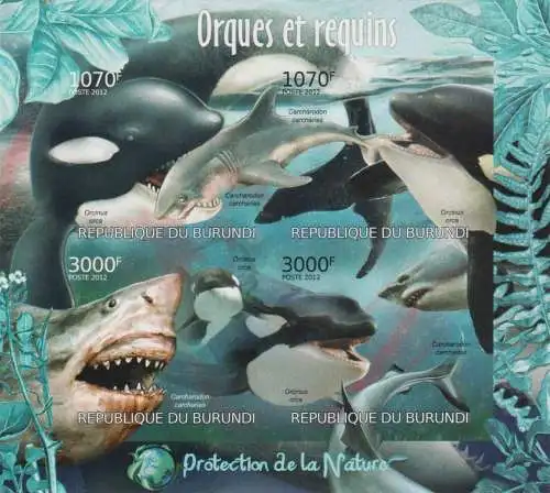 Protection of Nature - Orcas and Sharks