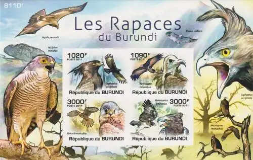 Birds - Raptors of Burundi