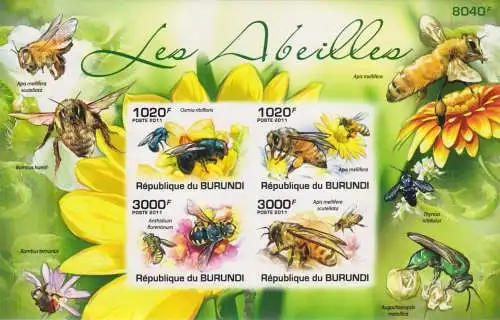 Insects - Bees