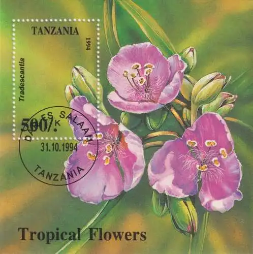 Tropical Flowers - Tradescantia