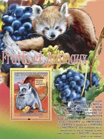 Fauna - Animals & Fruits