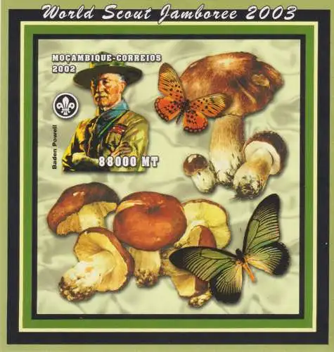 World Scout Jamboree - Lord Baden Powell and mushrooms