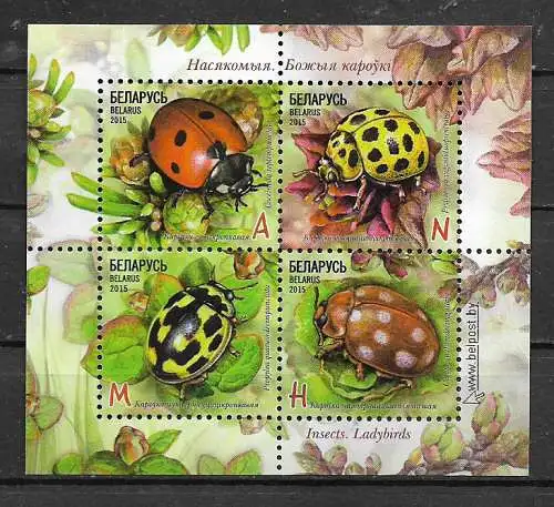 Insects - Ladybirds