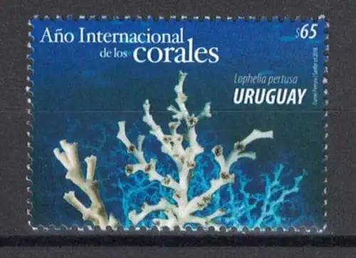 International Year of Corals