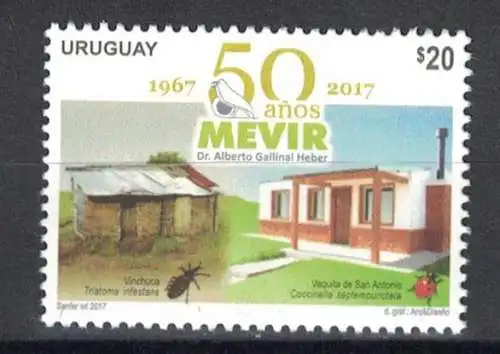 50 Years MEVIR