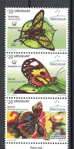 Butterflies of Uruguay