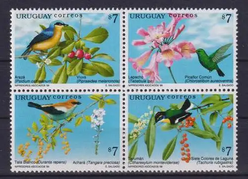 Flora and Fauna - Birds