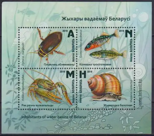 Inhabitants of reservoirs of Belarus