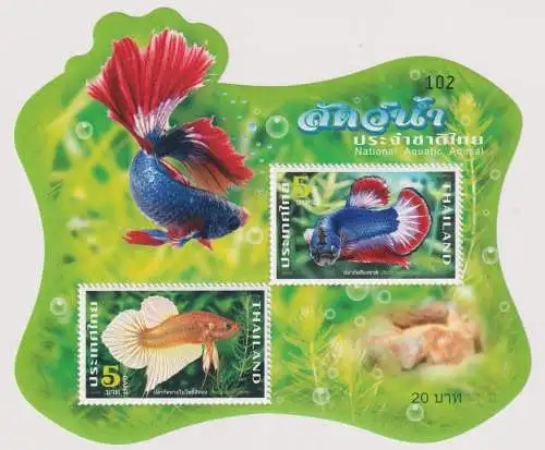 Marine Life - Betta Fish