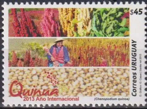 International Year of Quinoa