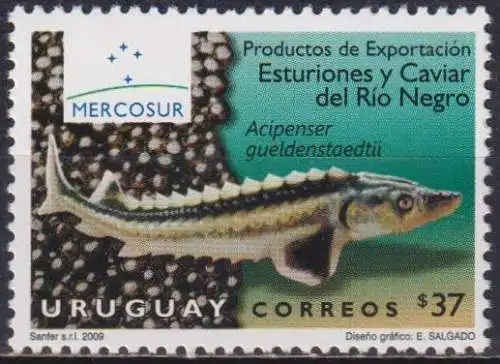 Mercosur - Export Products, Sturgeon & Caviar of Rio Negro